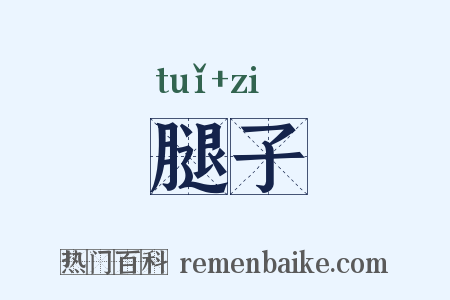 腿子是什么意思的图片